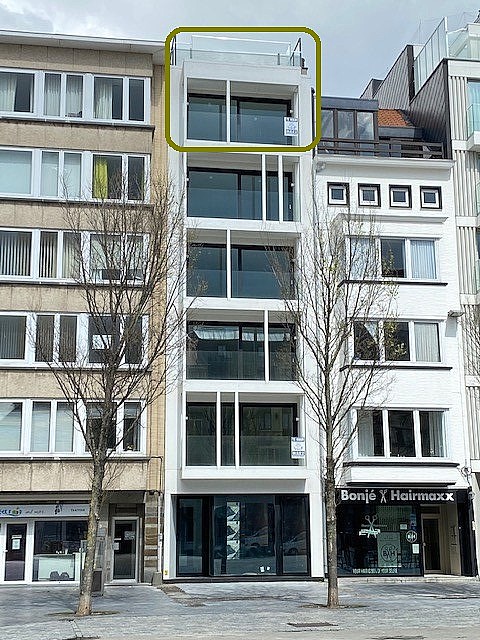 JVIlNido0501
